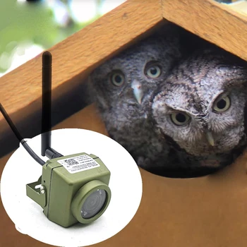 2-Мегапикселова Градинска Водоустойчив Многофункционален Мини-WiFi IP камера Sasha Voor Buiten Bird House Wacth Камера Със Слот За TF Карти Аудио