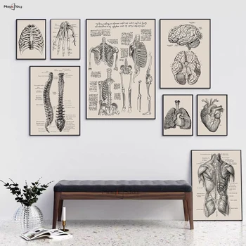 Плакат с анатомията на човешкото тяло Скелет Винтажное произведение на изкуството Стенни картина на клиника Орган на Мускулите Платно Живопис Щампи Декор на стая