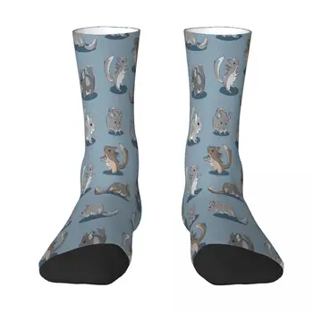 Чорапи с шарени животни от Чинчила, Мъжки, Дамски Чорапи от полиестер, Адаптивни Хип-Хоп
